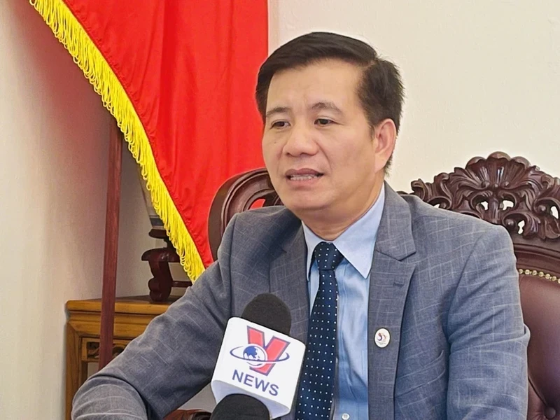 越南驻马来西亚大使丁玉玲。（图片来源：越通社）