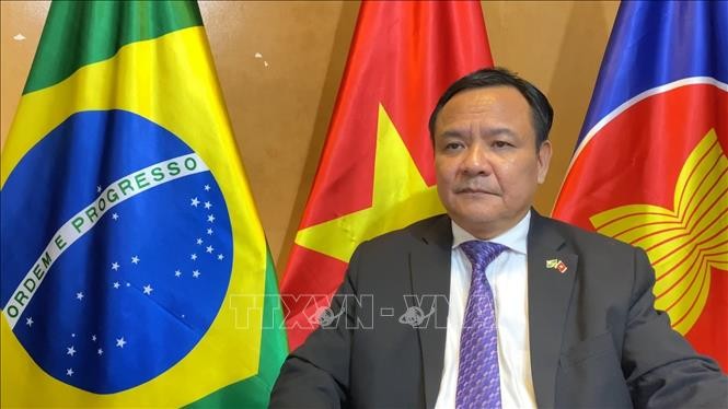 越南驻巴西大使裴文毅。（图片来源：越通社）