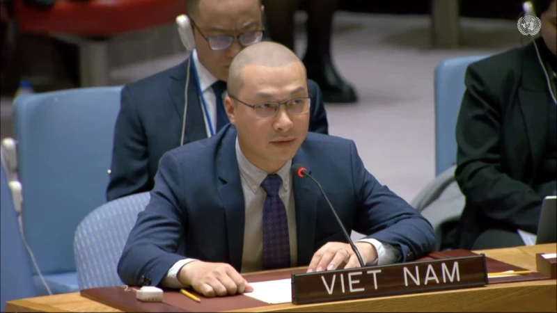 越南驻联合国代表团副团长阮黄元公使衔参赞。（图片来源：越通社）
