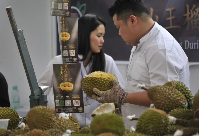 附图：越南榴莲在中国颇受欢迎。