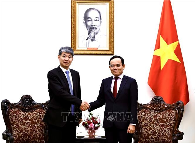 越南政府副总理陈流光会见国际原子能机构副总干事刘华。（图片来源：越通社）