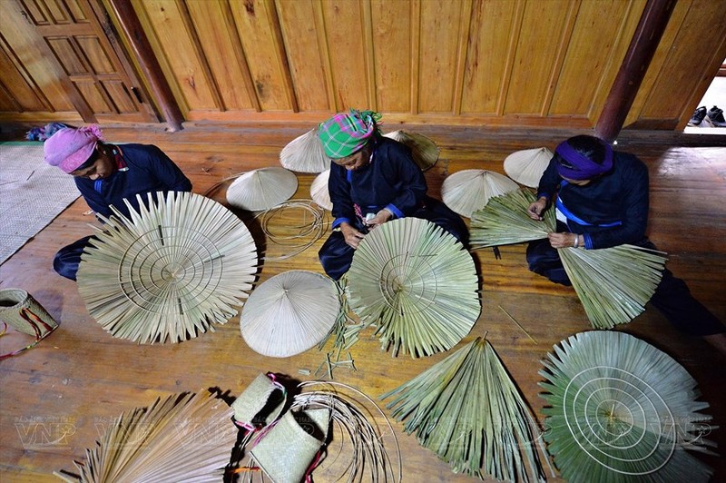 老街省北河县岱依族妇女从小就开始学会棕榈叶帽手工编织。（图片来源：越通社《越南画报》） 