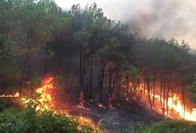 2024年4月30日下午在义安省发生的森林火灾区域。（图片来源：越通社）