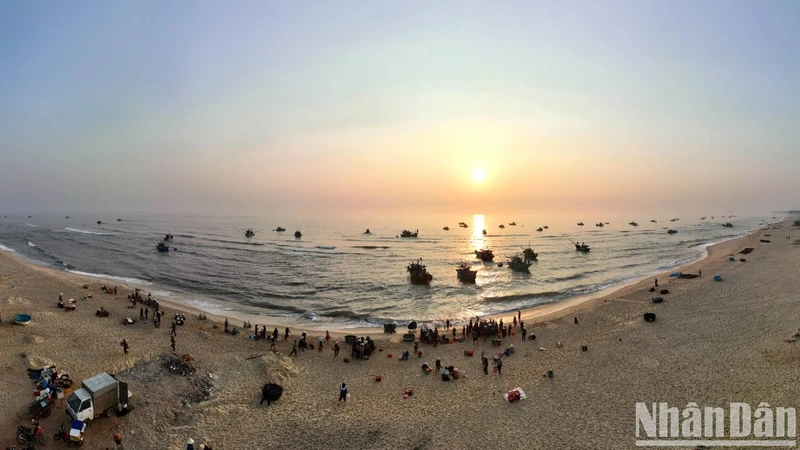 黎明到来时，仁泽鱼市的渔船川流不息，许多人等着购买海鲜。