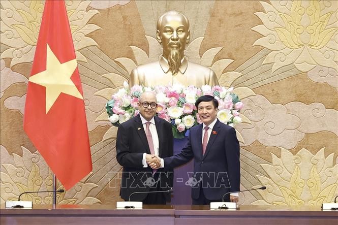 越南国会秘书长、国会办公厅主任裴文强与摩洛哥众议院秘书长举行会谈。（图片来源：越通社）