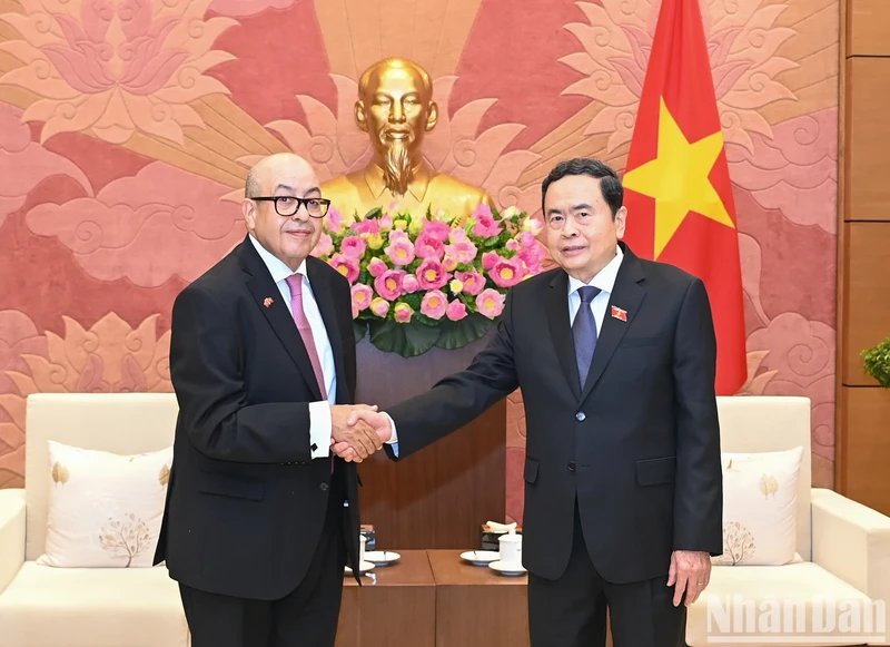 越南国会主席陈青敏会见摩洛哥众议院秘书长纳吉布·哈迪。