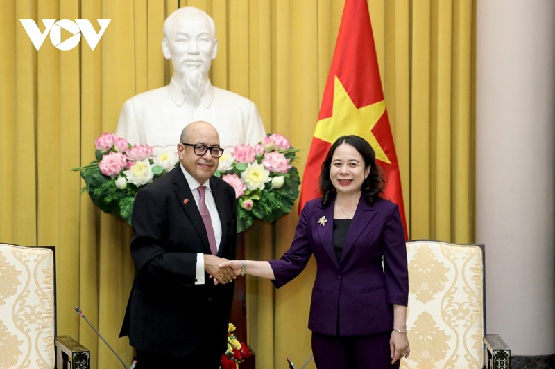越南国家副主席武氏映春会见摩洛哥众议院秘书长纳吉布·哈迪。（图片来源：VOV）