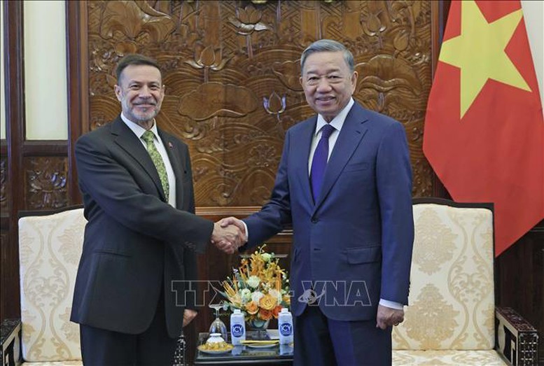 国家主席苏林会见澳大利亚驻越南大使安德鲁·戈莱辛斯基。（图片来源：越通社）