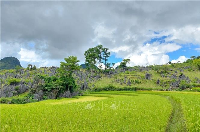 奠边省着力开发垛佐县旅游潜力。