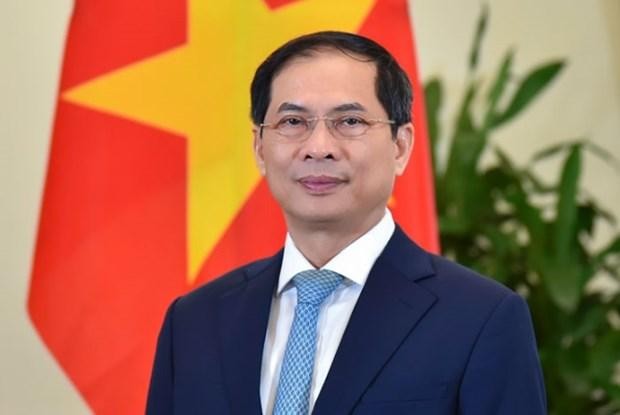 越共中央委员、越南外交部部长裴青山 。（图片来源：越通社）