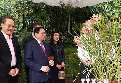 范明正总理携夫人给名为“范黎珍政”的新兰花品种挂上了铭牌。