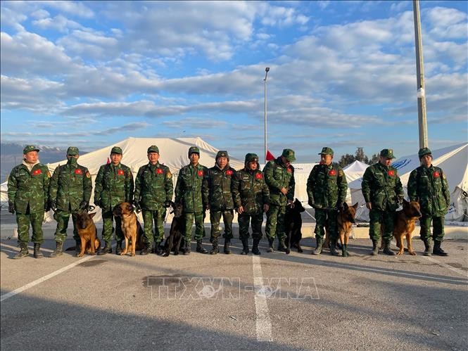 赴土耳其执行任务的越南人民军嗅探犬队。（图片来源：越通社）