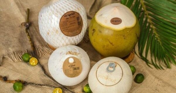 越南椰子产品。