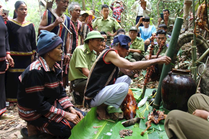 嘉莱族人的森林祭祀仪式。