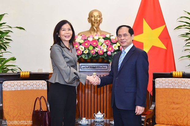 越南外交部长裴青山会见联合国驻越南协调员宝琳·塔梅西斯女士。（图片来源：越通社）