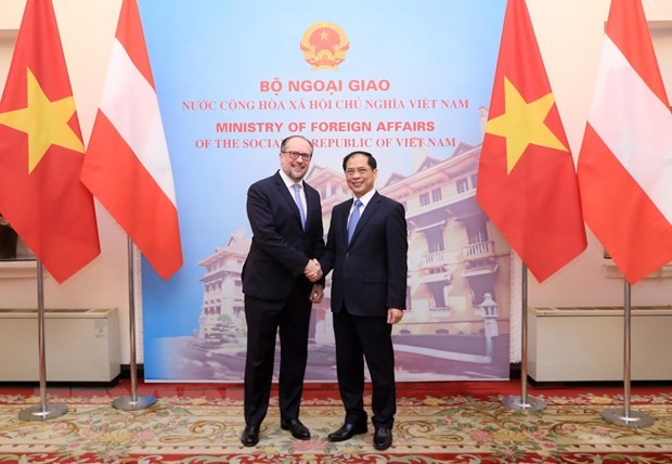 越南外交部长裴青山和奥地利外交部长亚历山大·沙伦贝格。（图片来源：越通社）