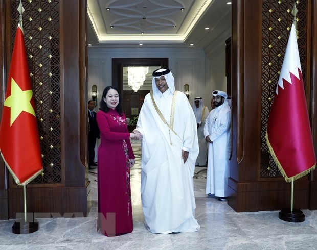 越南国家副主席武氏映春会见卡塔尔国会议长哈桑·本·阿卜杜拉·加尼姆。（图片来源：越通社）