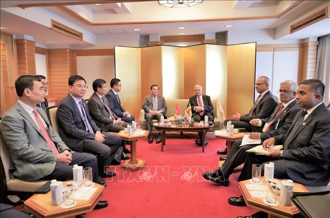 越南政府副总理陈流光会见斯里兰卡总统。（图片来源：越通社）