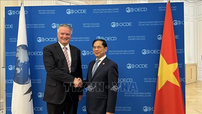 裴青山部长和OECD秘书长马蒂亚斯·科尔曼。（图片来源：越通社）