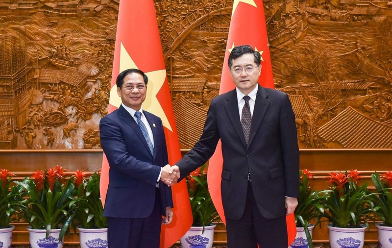 越南外交部长裴青山会见中国国务委员兼外交部长秦刚。（图片来源：VOV）