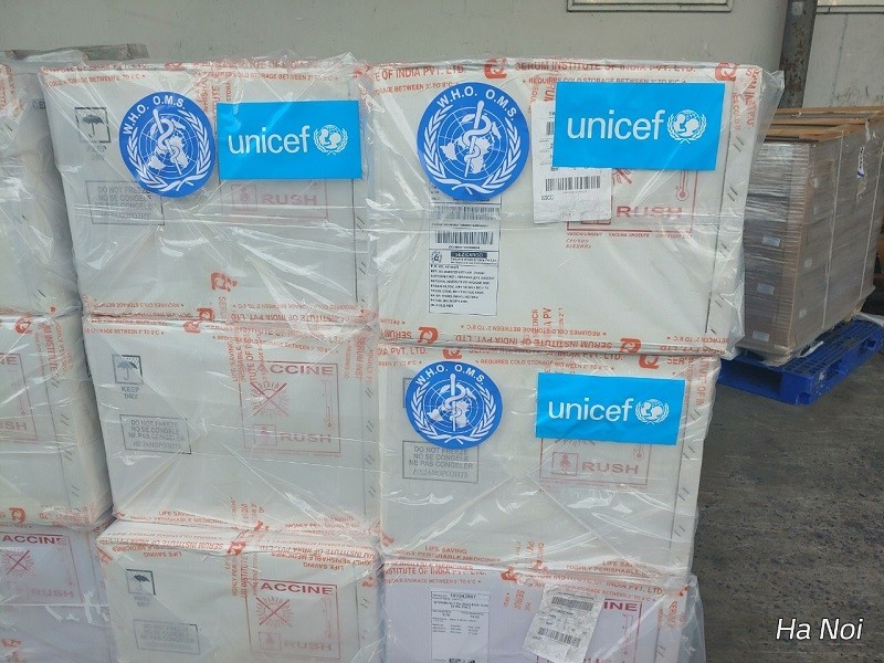 WHO和UNICEF向越南卫生部捐赠的DTP-VGB-Hib疫苗。
