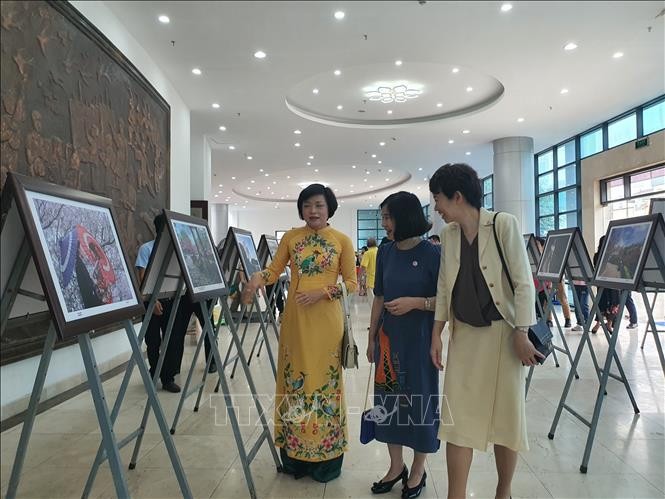 “2023年越南与日本文化节”活动活动框架内举行的“图片展。（图片来源：越通社）