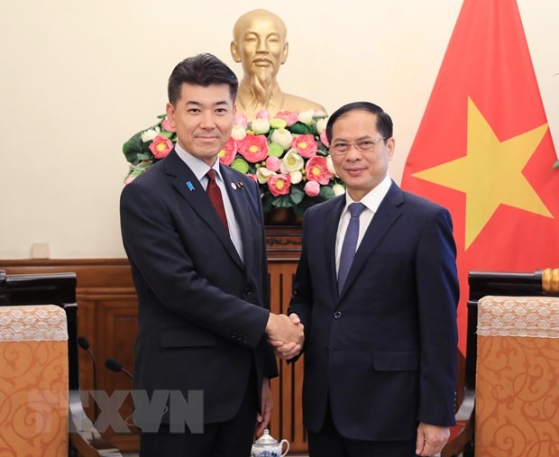 越南外长裴青山会见日本立宪民主党党首泉健太。（图片来源：越通社）