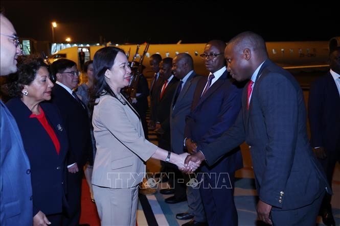 越南国家副主席武氏映春抵达莫桑比克首都马普托。（图片来源：越通社）