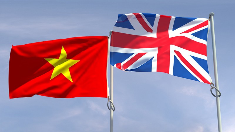 越英建交50周年：越南-英国战略伙伴关系【图表新闻】