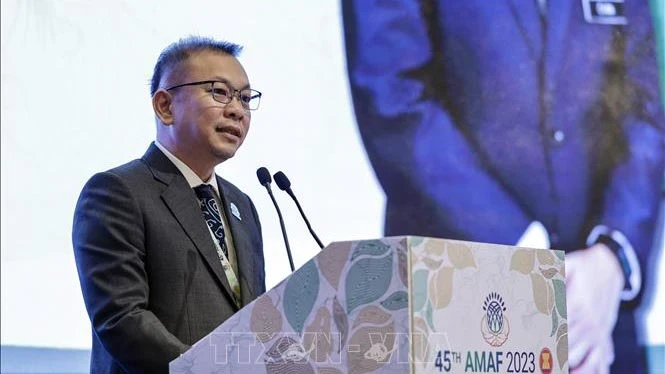 马来西亚农业及粮食安全部副部长陈泓缣在会议上发表讲话。（图片来源：越通社）