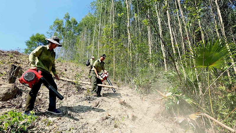 平定省森林保护力量积极参与防火工作。（武生 摄）
