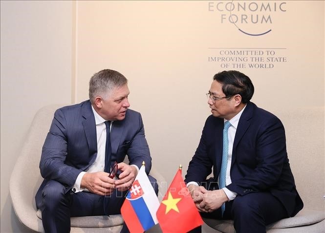 越南正府总理范明正会见斯洛伐克总理罗伯特·菲佐。（图片来源：越通社）