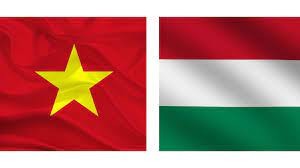 越南-匈牙利全面伙伴关系【图表新闻】