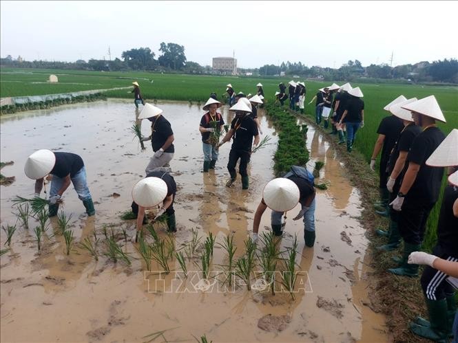 外国游在唐林古村体验当农民。（图片来源：越通社）