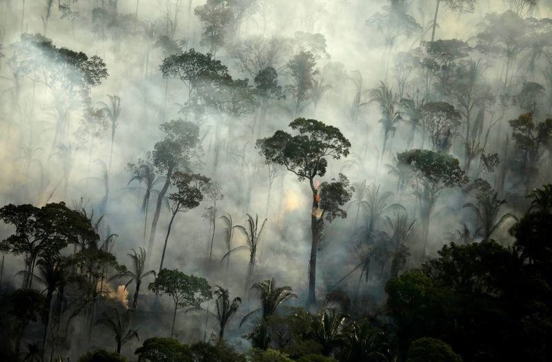 2019年亚马逊森林地区发生火灾。（图片来源：路透社）