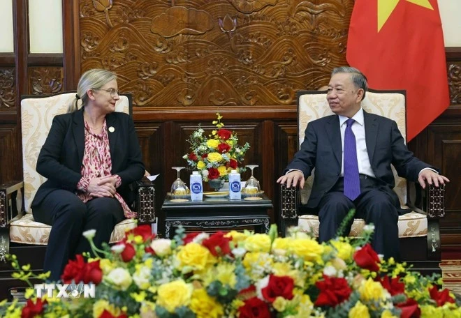 越南国家主席苏林会见瑞典驻越大使安·马威。（图片来源：越通社）