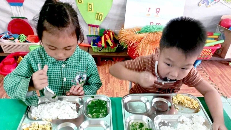 在那沆县生龙乡汪龙（Vằng Loóng）幼儿园学生的营养午餐。