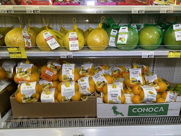 和平高丰橙子首次通过官方出渠道进入英国市场。