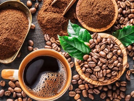 越南是世界上最大的罗布斯塔咖啡生产国和第二大咖啡出口国。