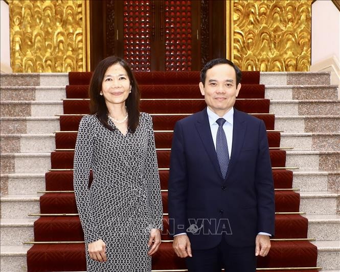 政府副总理陈流光会见联合国常驻越南协调员宝琳·塔梅西斯。
