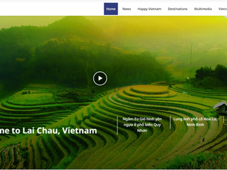 该网站迅速、精准多维地更新并提供有关越南的信息。(截屏图）