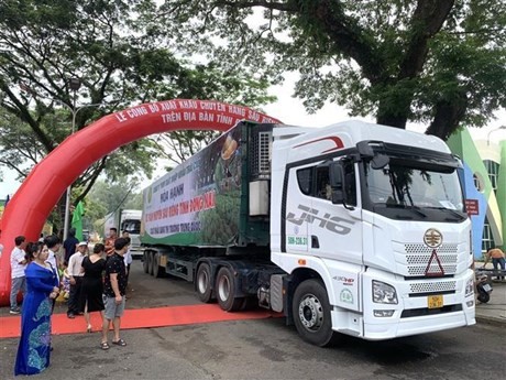 同奈省通过正贸渠道向中国出口首批360吨榴莲。