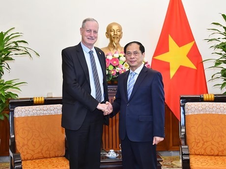 越南外交部部长裴青山会见以色列驻 越南大使亚龙·迈尔。