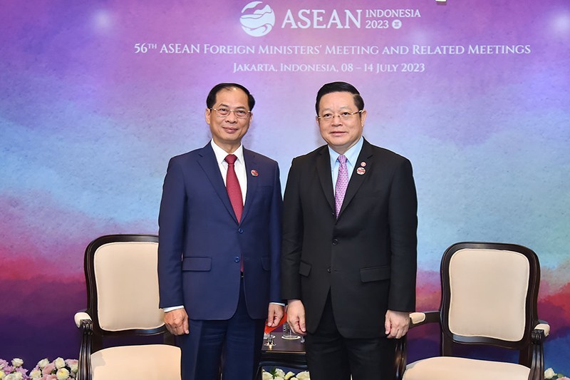 越南外交部部长裴青山（左）会见东盟秘书长高金洪。