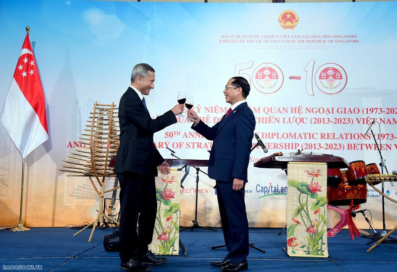 越南外交部长裴青山与新加坡外交部长维文·巴拉克里希南出席活动。