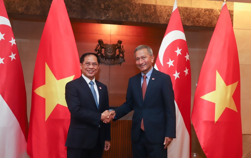 越南外交部长裴青山与新加坡外交部长维文。