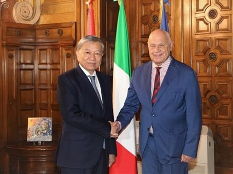 越南公安部长苏林与意大利内政部长马泰奥·皮安多握手。