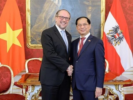 越南外交部长裴青山会见奥地利外长沙伦贝格。