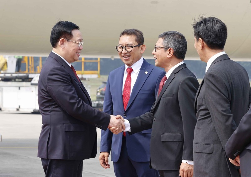 越南驻印尼大使谢文聪到雅加达苏卡诺-哈达国际机场迎接国会主席王廷惠。