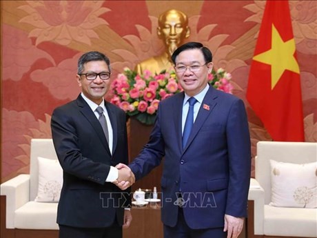 越南国会主席王廷惠2013年7月25日会见印度尼西亚共和国驻越南大使丹尼·阿卜迪。